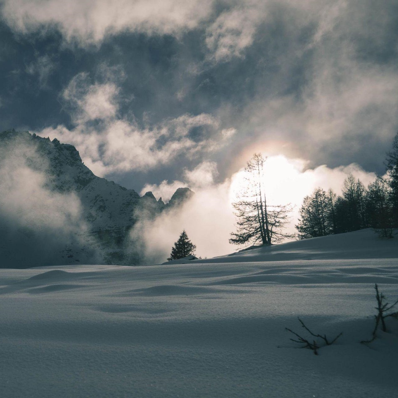 Weights Determination